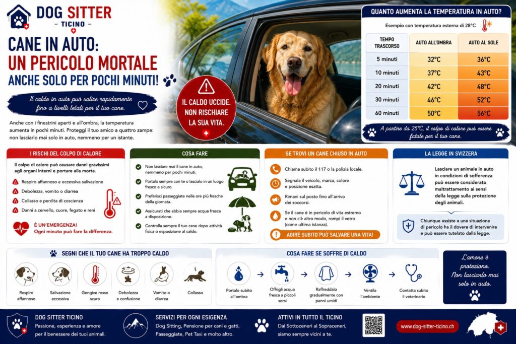 Mai Lasciare il Cane in Auto: i Rischi del Caldo